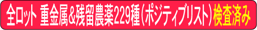 SbgEd́c_229i|WeBuXgjς݂̋[ha