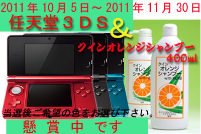 任天堂３ＤＳゲーム機本体＆クインオレンジシャンプーセット懸賞